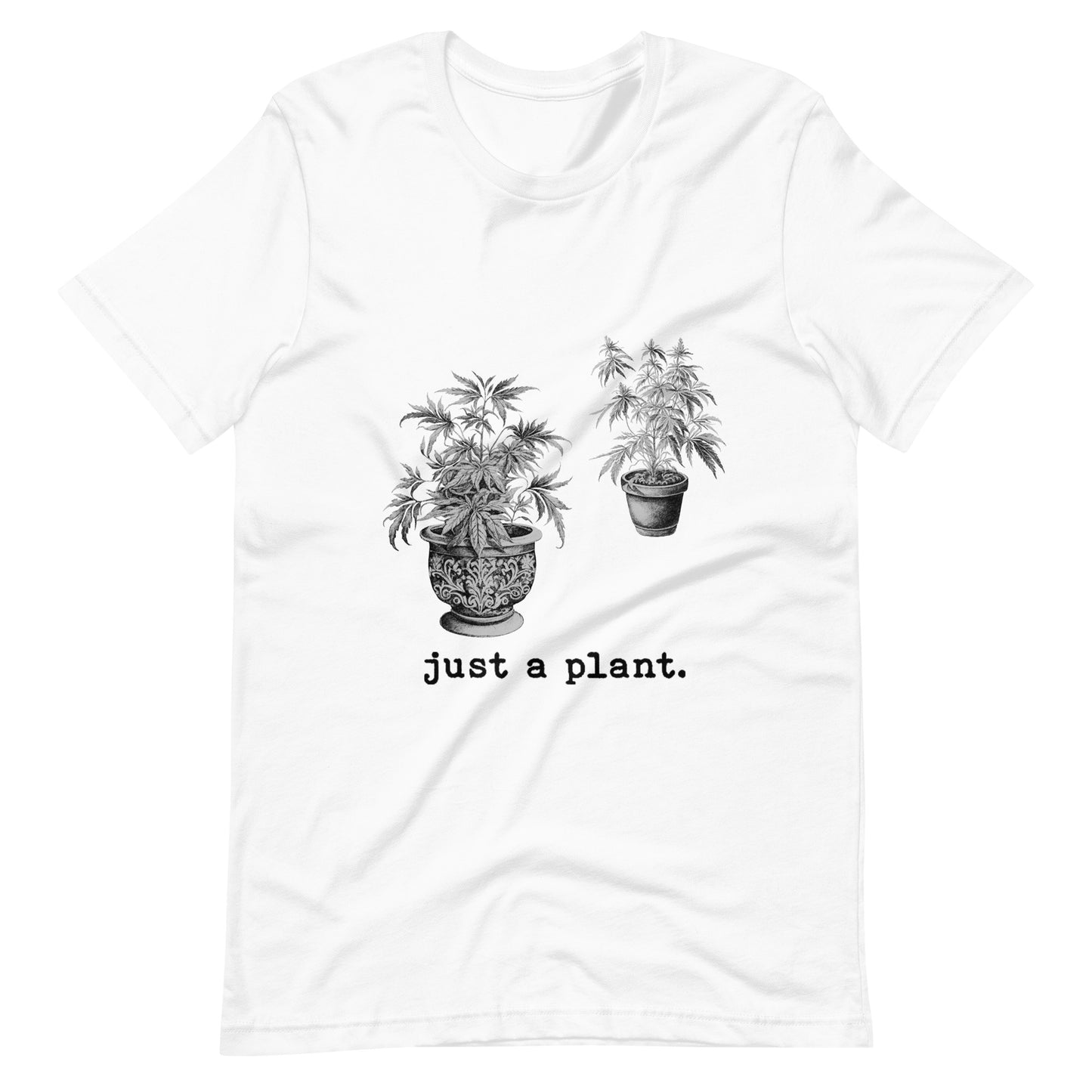 just a plant.